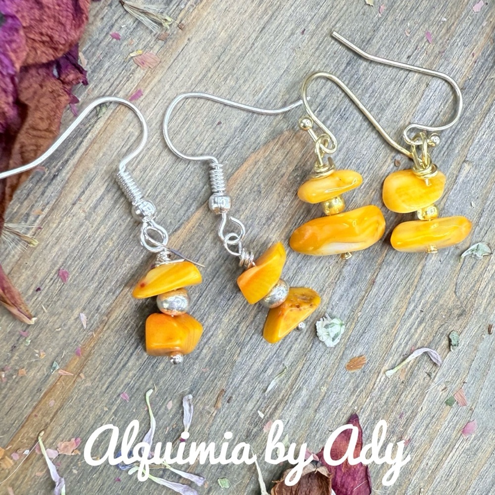 Alquimia Vibrant Orange jasper Earrings